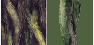 A texture sheet that I hand painted for use on a zones vegetation.